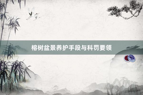 榕树盆景养护手段与科罚要领