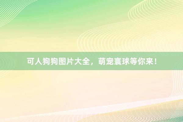 可人狗狗图片大全，萌宠寰球等你来！